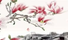 订婚男方送礼一般送什么 主要送烟酒茶