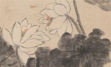 订婚有哪些流程礼数 商定吉日告知亲友