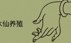 卧室养水仙花好吗 放在哪里风水最好