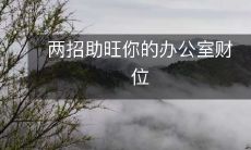 两招助旺你的办公室财位