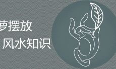 绿萝下垂对财运好不好 如何摆放能提升财运