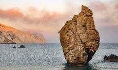 办公室应该如何选择合适的绿色盆栽 提升企业的发展