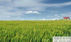 办公室坐在门口附近好不好