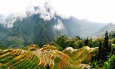 家里为什么不能挂龙 禁忌有哪些