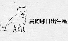属狗哪日出生是上等之命 最好命的出生日子
