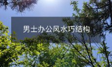 男士办公风水巧结构