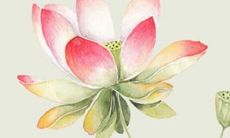 2023年1月13日出行日子好不好 今日日子吉利吗