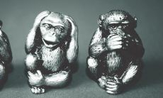 属猴家里不能摆什么