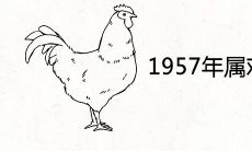 1957年属鸡男性寿命多大 2022年健康运势如何
