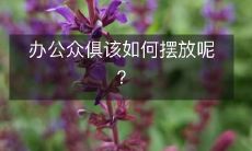 办公众俱该如何摆放呢?