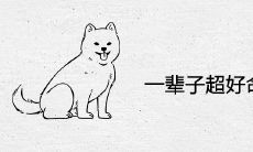 一辈子超好命的生肖女