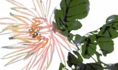 2023兔年适合出行的好日子 万事大吉的出行吉日