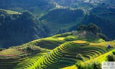 办公室风水知识有哪些讲究