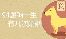 94属狗一生有几次婚姻 哪年结婚最好