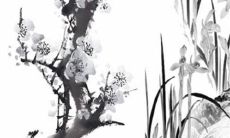 2023年1月11日宜出行吗 是外出吉利日子吗