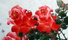 2022年12月31日是出行吉日吗 黄历日子查询