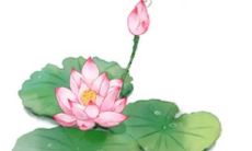 2023年1月15日南小年可以出门吗 是出行上等吉日吗