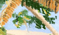 命理中美满婚姻的标志