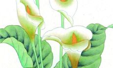 2022虎年10月属龙可以开工大吉之日 开工祝福语大全