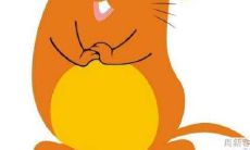 属鼠人2022年运程及运势解析 2022年属鼠的全年每月运气如何