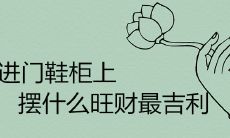 进门鞋柜上摆什么旺财最吉利