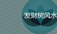 进门看见发财树好吗 摆放风水有哪些禁忌