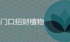门口招财植物都有哪些