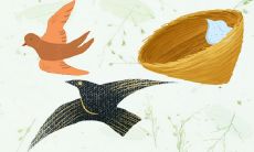 燕子筑巢家富贵 屋檐下做窝是什么风水预兆