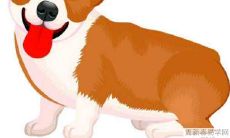 1994年属狗人2022年运势 1994年生肖狗每月运程详解完整版