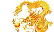 1976年属龙人2022年运势 76年生肖龙每月运程详解完整