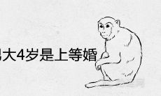 女猴男鼠女比男大4岁是上等婚姻吗