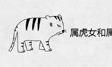 属虎女和属兔男适合做夫妻吗 婚姻相配吗