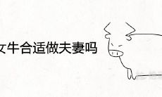 男兔女牛合适做夫妻吗 婚姻配对好吗