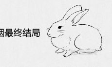 男兔女鸡婚姻最终结局 在一起能过一辈子吗