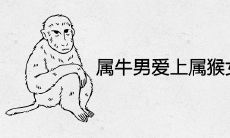 属牛男爱上属猴女的可能性大吗 属于上等婚姻吗