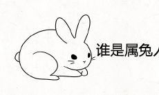 谁是属兔人命中注定的情人