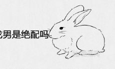 87兔女和88龙男是绝配吗 夫妻能到老吗