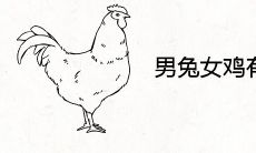 男兔女鸡有过一辈的吗 婚姻最终结局