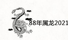 88年属龙2021年婚姻最终归宿 33岁感情运势如何