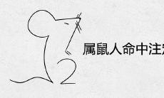 属鼠人命中注定的另一半 婚姻配对表