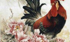 女生如何追属鸡的男人