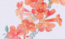 2022年6月24日是动土黄道吉日吗 好日子看八字