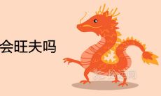 女属龙男属兔会旺夫吗 夫妻相配吗