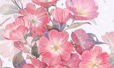 2022年6月17日动土好吗 是黄道吉日吗