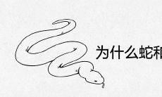 为什么蛇和兔不能做夫妻 婚姻相配的结果