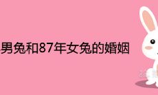 87年男兔和87年女兔的婚姻状况如何