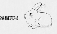 87兔和92猴相克吗 相配婚姻合不合