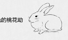 2021年属兔的桃花劫是哪个生肖