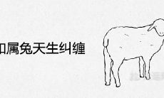 属羊和属兔天生纠缠是怎么回事 在一起结婚好不好