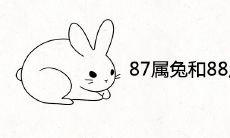 87属兔和88属龙不合吗 婚姻相配吗